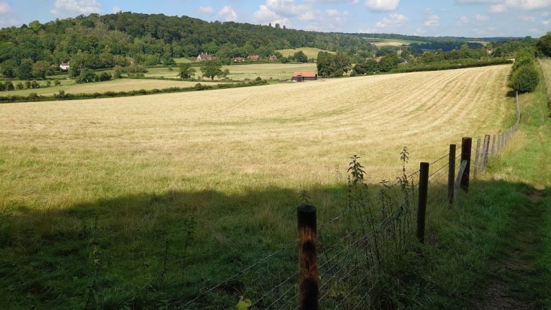 Henley Farm & Country Show